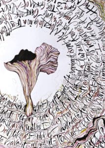 Expresivní kaligrafie kombinovaná s kresbou. Báseň od Emily Dickinson tvoří mycelium, které obklopuje kresbu hlívy plicní. Expresivní kaligrafie - obraz spojující písmo a kresbu vytvořila Veronika Wuycheck Latinsky: pleurotus pulmonarius