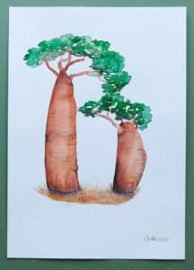 Ilustrované písmeno B - baobab