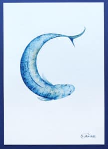 Ilustrované písmeno C - ryba, koi