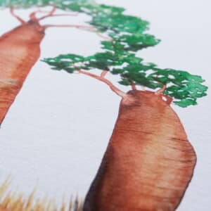 Ilustrované písmeno B - baobab