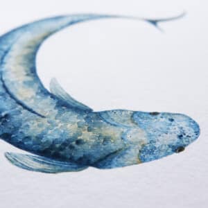 Ilustrované písmeno C - ryba koi