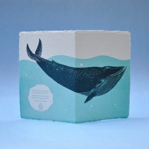 Design pro dílnu Labora, vytištěno knihtiskem, formát A6, dostupné na: https://labora.ee/shop/greeting_cards/blue-whale/ letterpress přání s velrybou pod vodou
